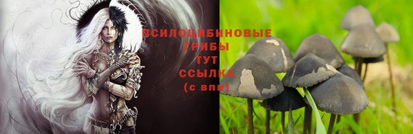 каннабис Белокуриха